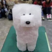 legoshilover (@0taner0taner) 's Twitter Profile Photo legoshilover (@0taner0taner) 's Twitter Profile Photo