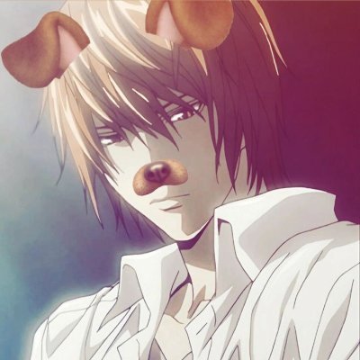 yerrR3uhh's profile picture. in many fandoms, my favorites start with a
alnst, atla, aot
i analyze