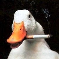 I Contracted HPV On New Years Groyper (@oldtroonxuser) 's Twitter Profile