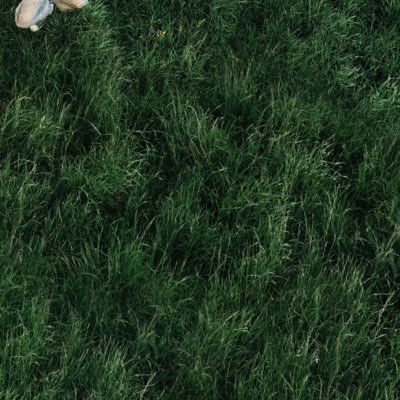 gallmaa's profile picture. 대학생 일상계