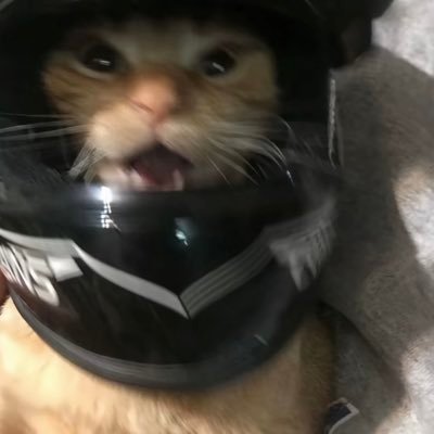 emreniste's profile picture. fick ma nicht kopf du πç