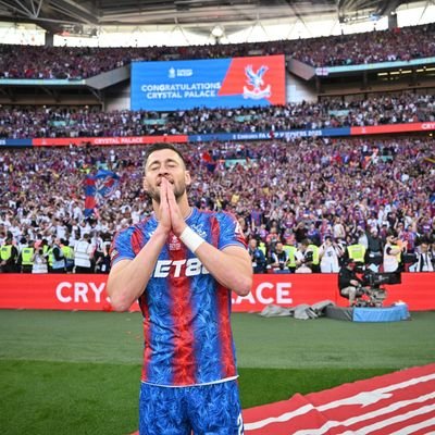 novbov's profile picture. 