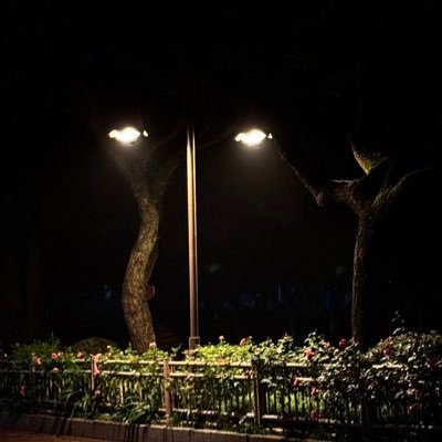 Xilinx_31's profile picture. 