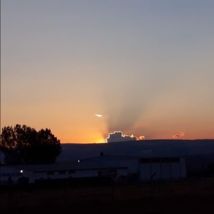 withesos's profile picture. 