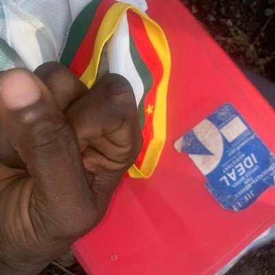 Enowbanga001's profile picture. #Free thinker ✌️🦅✍️ No dm am focus 🧘 in my own world 🌎 enjoy the vibe🦅✌️🙏🏽🇨🇲🇹🇩