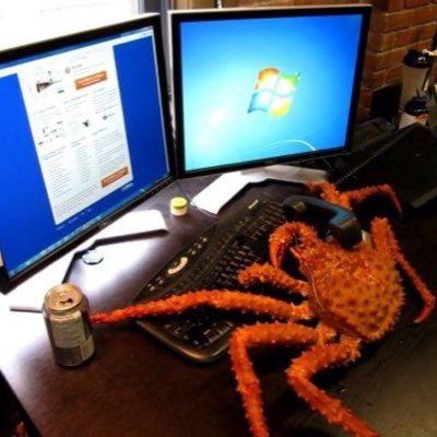 rajoncombo's profile picture. 