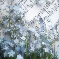 anna ♪ (@k1tt3nluvvrrr) 's Twitter Profile