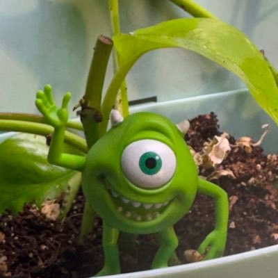anniesufos's profile picture. 