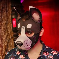 Puppy Side Down (@pup_side_down) 's Twitter Profile