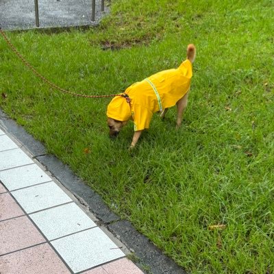 zfjskahee_'s profile picture. 逃跑