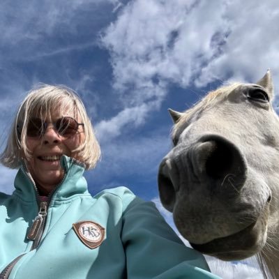 SCEwins's profile picture. IBM retired. English living in France! 3 kids, 2 grandchildren , 2 cats, 2 horses…. what else?