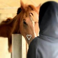 فلانه جنوبيه (@flanhjnwby2043) 's Twitter Profile