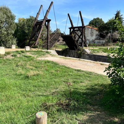 NiceNewport's profile picture. @positive Energy, Woman professional