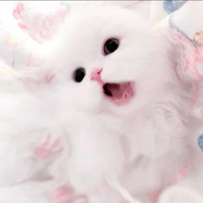 d10551281's profile picture. 