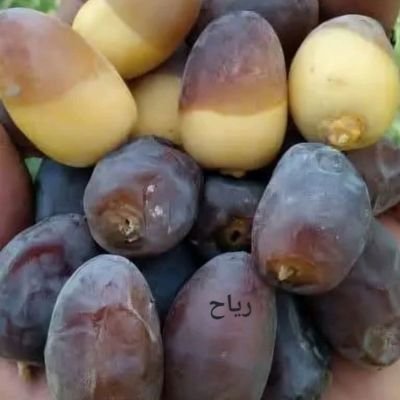 alhmdluf99's profile picture. 