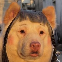 reirae | SAUCE (@zhyreeeeee) 's Twitter Profile Photo