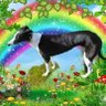 jennifersterri1's profile picture. #RESIST 🌊 #elderlylivesmatter
#animallivesmatter ❤ greyhounds. Proud to be Scottish. #istandwithukraine
Abhor Animal Abuse. Vegan🌱📷 #bangreyhoundracing