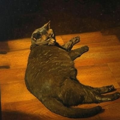 waddian502's profile picture. 🤷‍♂️