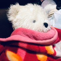 みくに恵 (@nairdbiyewqji0g) Twitter profile photo