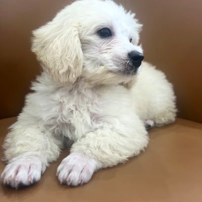 7877Wang's profile picture. 生活的壓力，我們一起舒壓， #音樂課  # 狀況愛#音通 #真心話大冒險