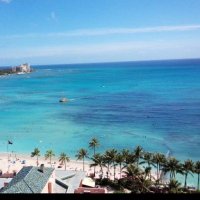 夏 (@fp0la7amz4dturh) 's Twitter Profile Photo