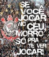 eltonzv's profile picture. 