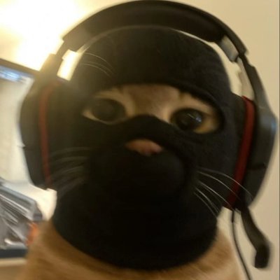 sccpalitot's profile picture. amo a roberta e o corinthians
@bobasaurrrr 💍