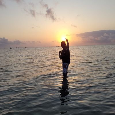 elmus__'s profile picture. Telecom engineer with a flair for code