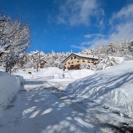 trg2_1's profile picture. 推しと宇宙のためのアカウント。高速流体。　B3

NieR/🌈🕒️（⚔️や🎠や🎲や🥼🌱🐱などなど）/JOJOやH✕Hなどなど/UNISON　SQUARE　GARDEN/最近lolを始めました/おすすめです
https://t.co/hY3lEU9r9Y