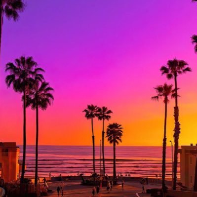 MZ85_'s profile picture. 