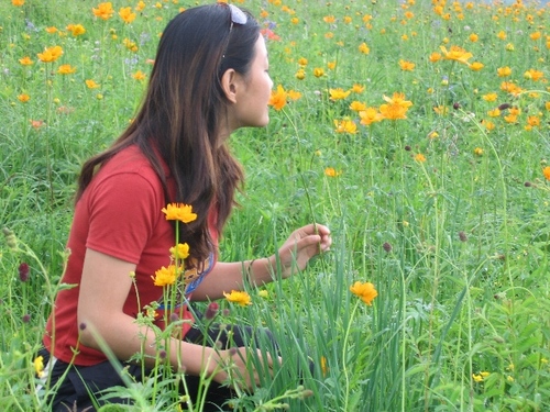 ElisaYing's profile picture. 