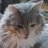 _Clarple's profile image