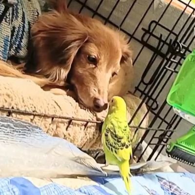 これから動画編集、Webデザイナーの勉強をしてフリーランスを目指してます。無謀な挑戦ですがアラ還でもできますよね?応援してくださいm(_ _)m
#Fammスクール