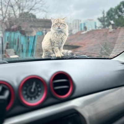 m_m45918's profile picture. 