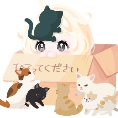 ねこくらげさんのプロフィール画像
