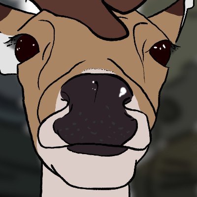 quin (quin) Profile