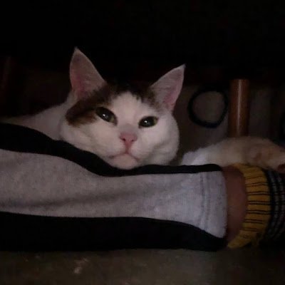 na081967065020's profile picture. 