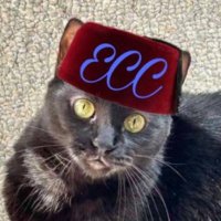 Tom Kattman (@tomkattman) 's Twitter Profile Photo Tom Kattman (@tomkattman) 's Twitter Profile Photo