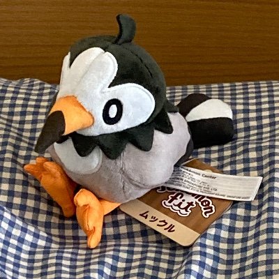 鳥系が好きな令和トリプル勢です
ポケモンとドラクエが好きです
素敵なヘッダーは夕凪さんに描いていただきました
→@watagashi_you
