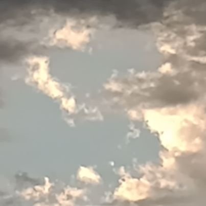 Ansjxkdnsl's profile picture. .