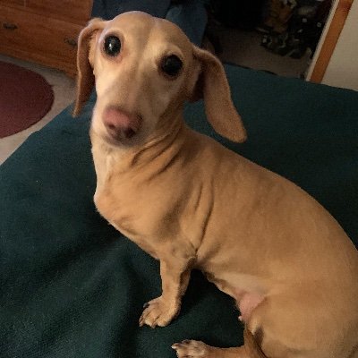 Moses1186399's profile picture. Mountain man, Union Ironworker