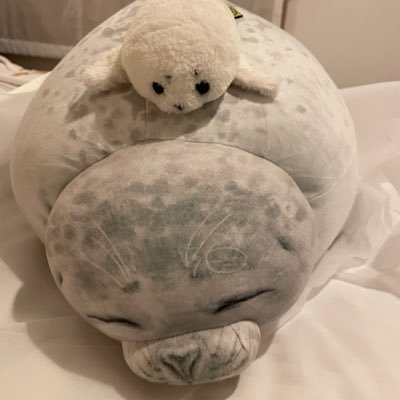 さたかたかさんのプロフィール画像
