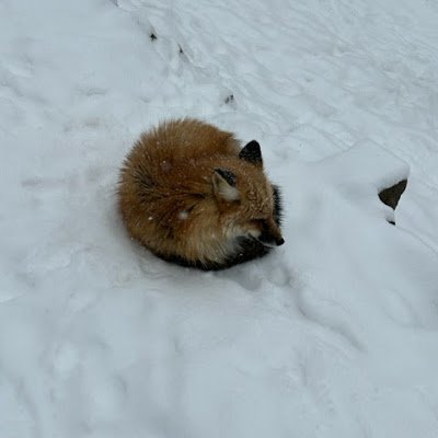 DLO118505's profile picture. 