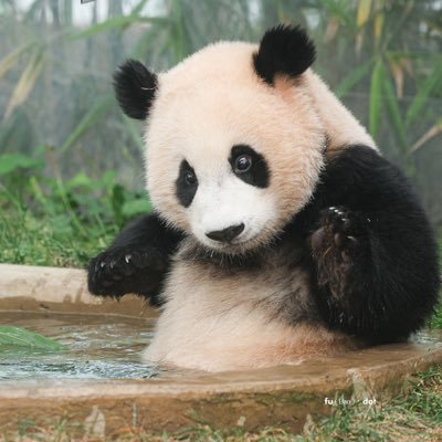 irenevus9n's profile picture. 