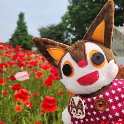 Chanmimi_9103's profile picture. 闘病&ハンドメイド垢🌷統合失調症と程よく向き合ってます◎
ドールセラピーで人生を豊かに…❣️
2019～メンクリ通院中、30手前の♀。
LINE、DM🙅です。