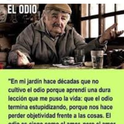 federafaghelli's profile picture. 