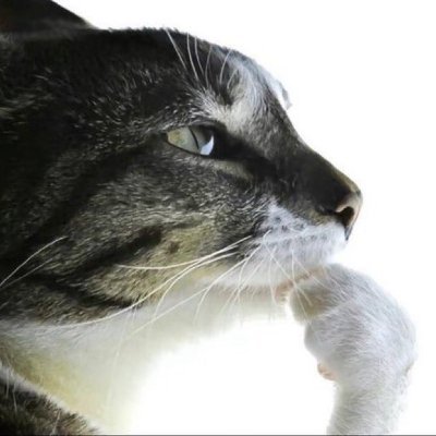 dovi_bye's profile picture. just hanging around here 
(26 years old)