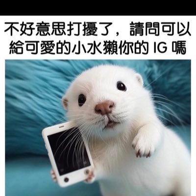 2Vy9oGiliL2IZ8p's profile picture. 20y 的軍人🪖 一個很喜歡抱抱的人類