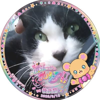 ゆいちろ たまに箱の人さんのプロフィール画像