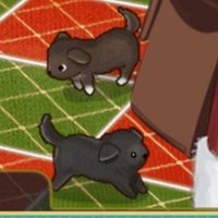 くてのぽま (@darknessfingeer) 's Twitter Profile